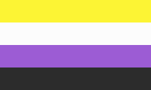 A rectangular flag with four equal-width horizontal stripes: yellow, white, purple, black